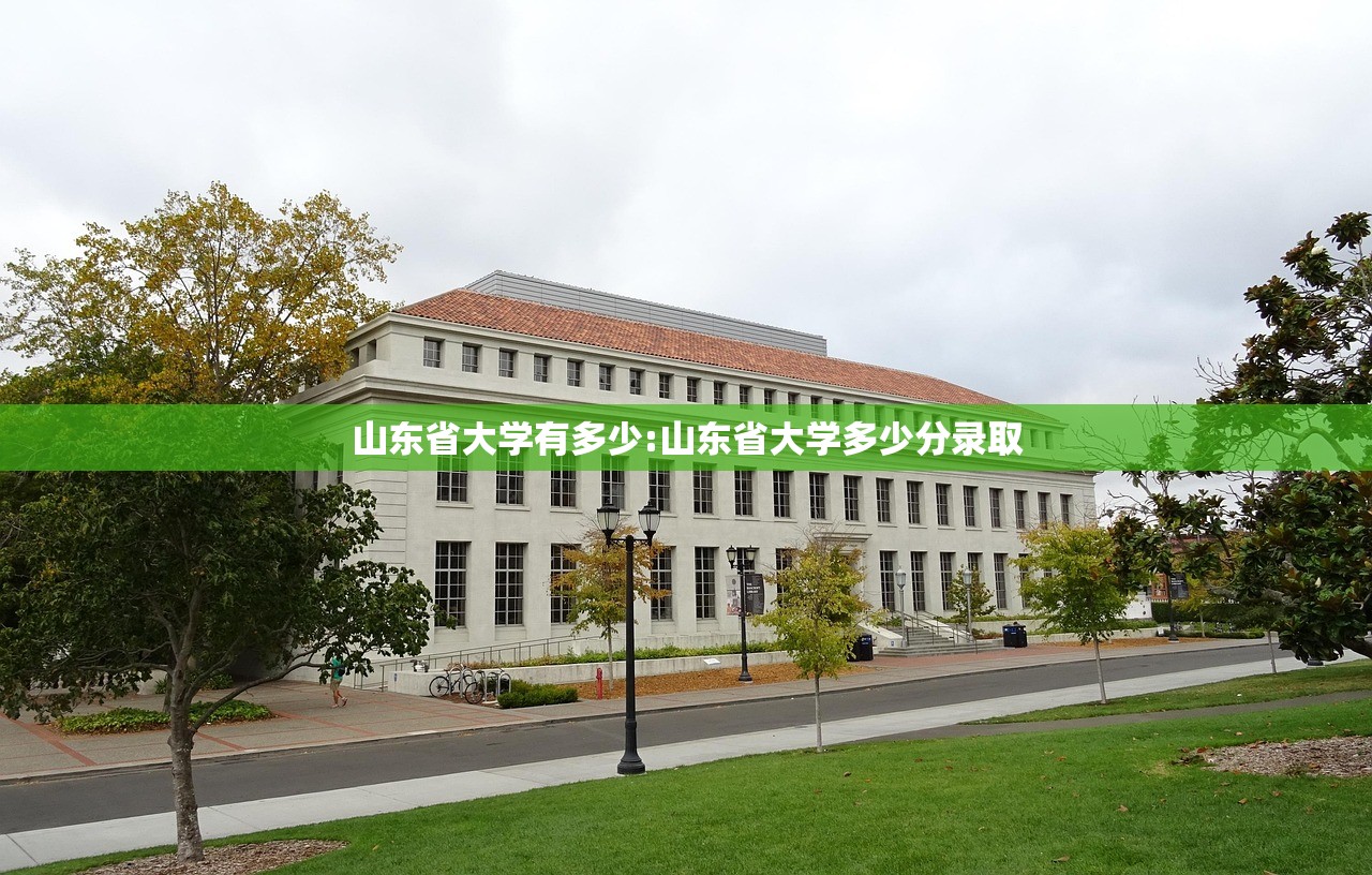 山东省大学有多少:山东省大学多少分录取