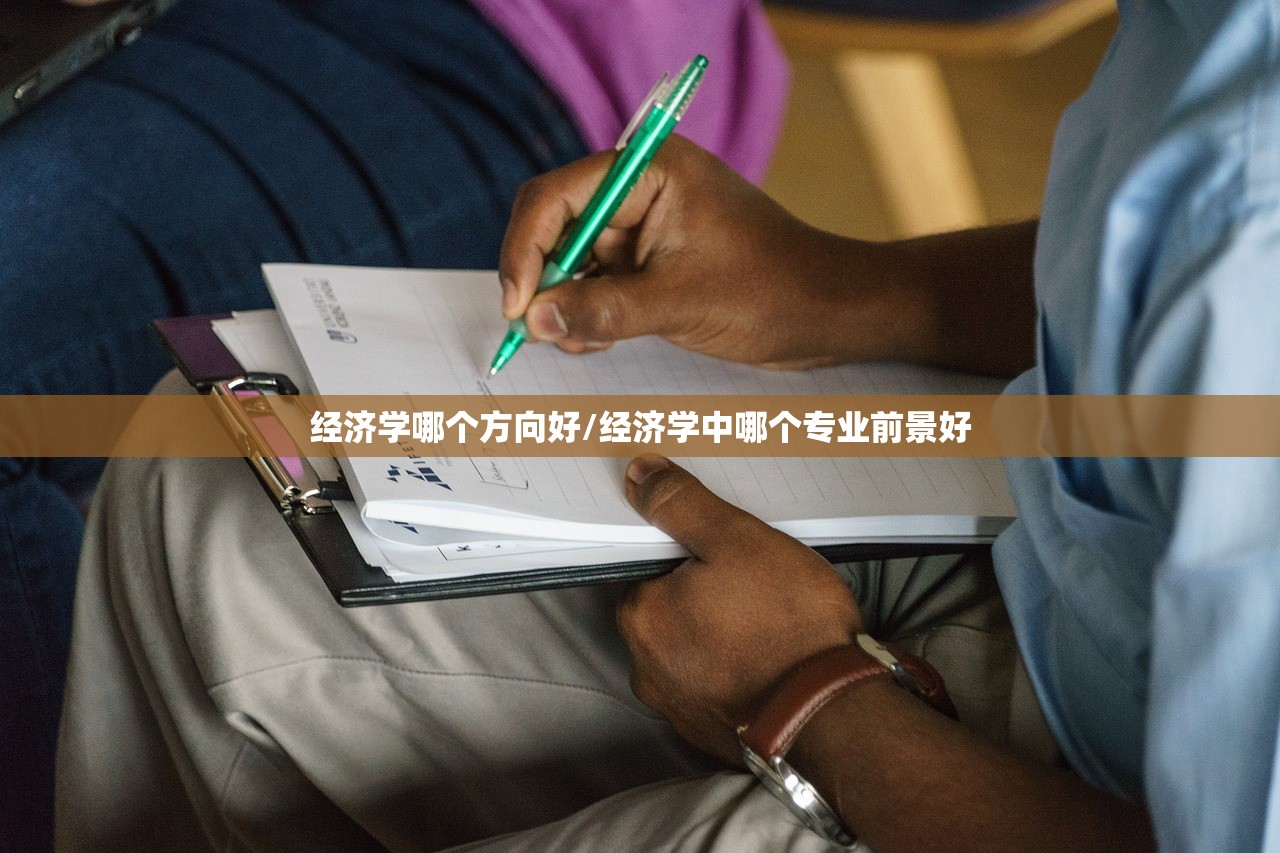 经济学哪个方向好/经济学中哪个专业前景好