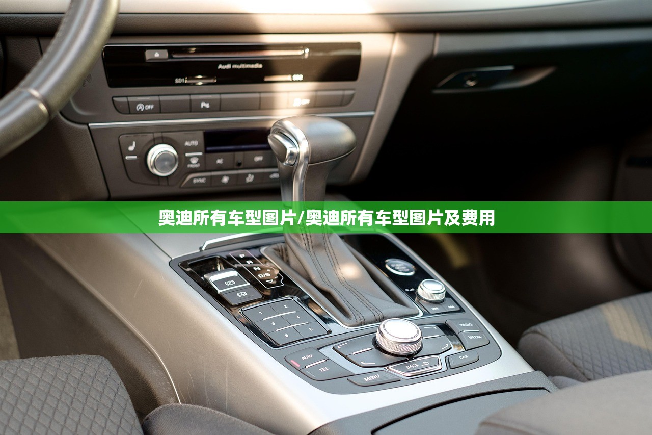 奥迪所有车型图片/奥迪所有车型图片及费用