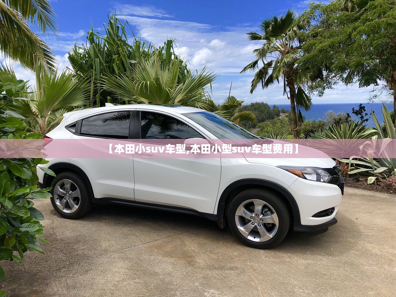 【本田小suv车型,本田小型suv车型费用】