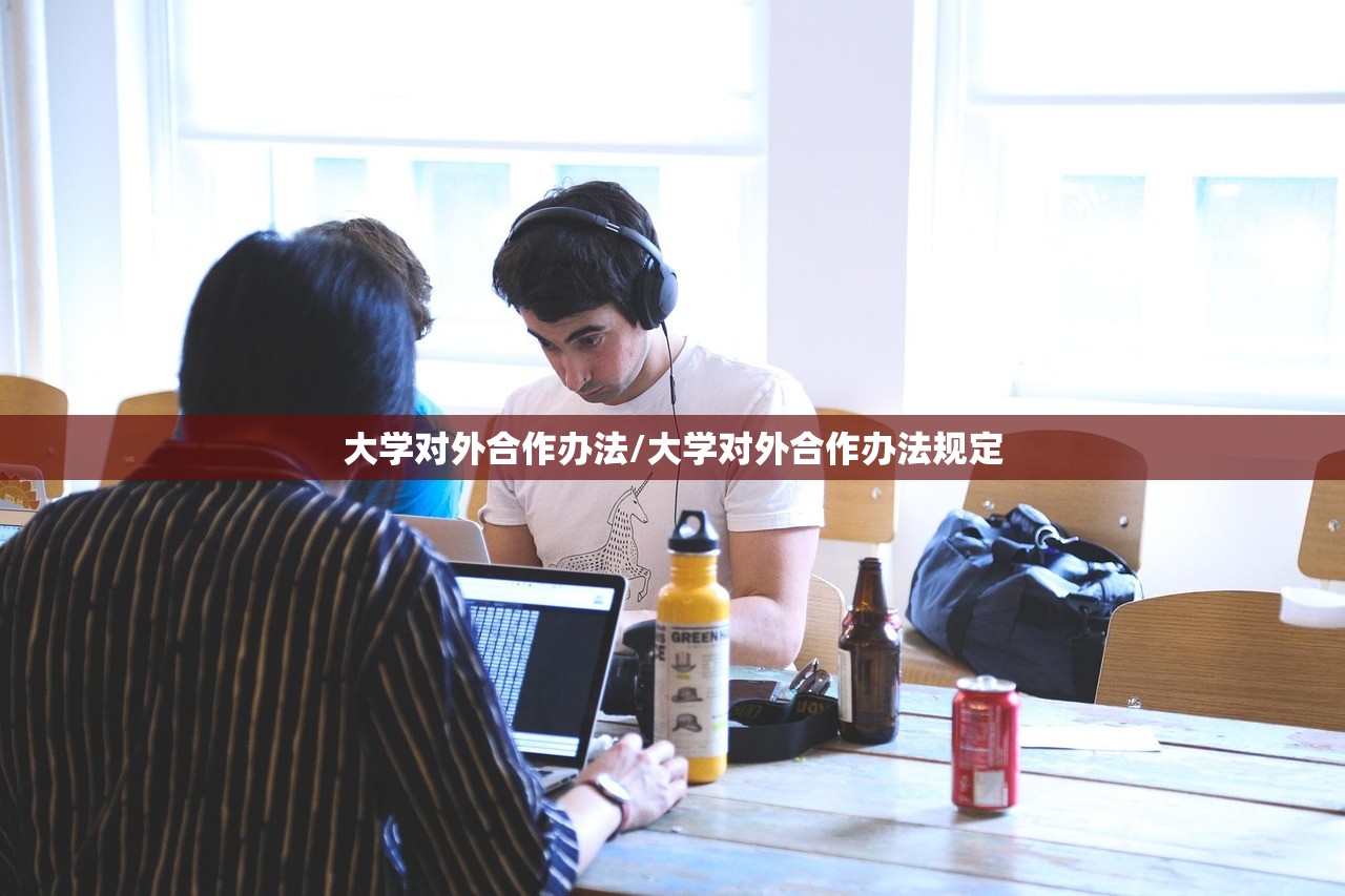 大学对外合作办法/大学对外合作办法规定