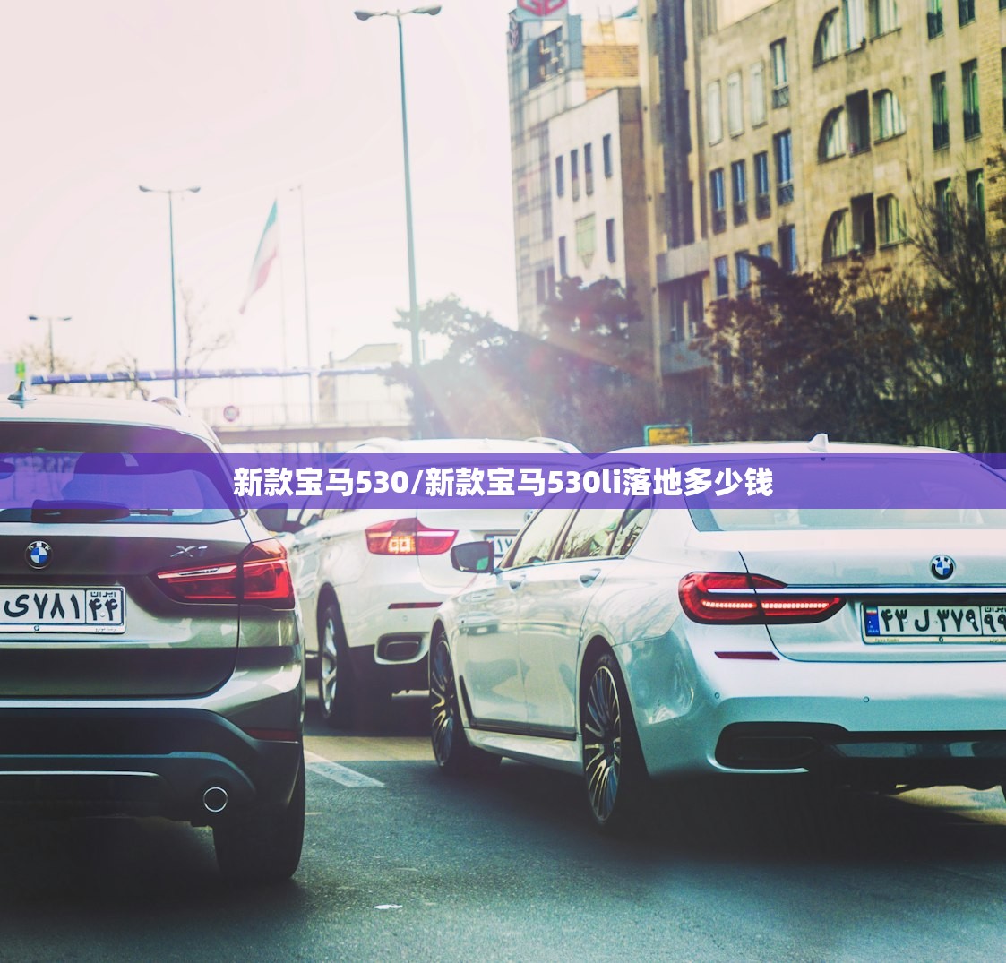 新款宝马530/新款宝马530li落地多少钱