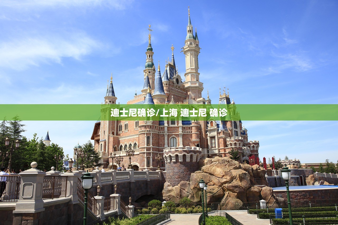 迪士尼确诊/上海 迪士尼 确诊