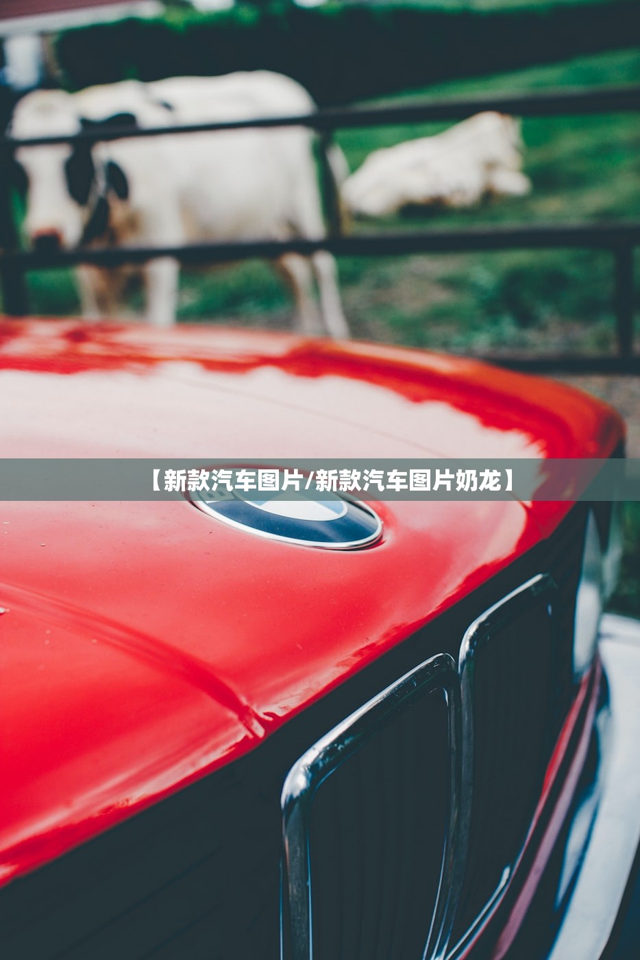 【新款汽车图片/新款汽车图片奶龙】