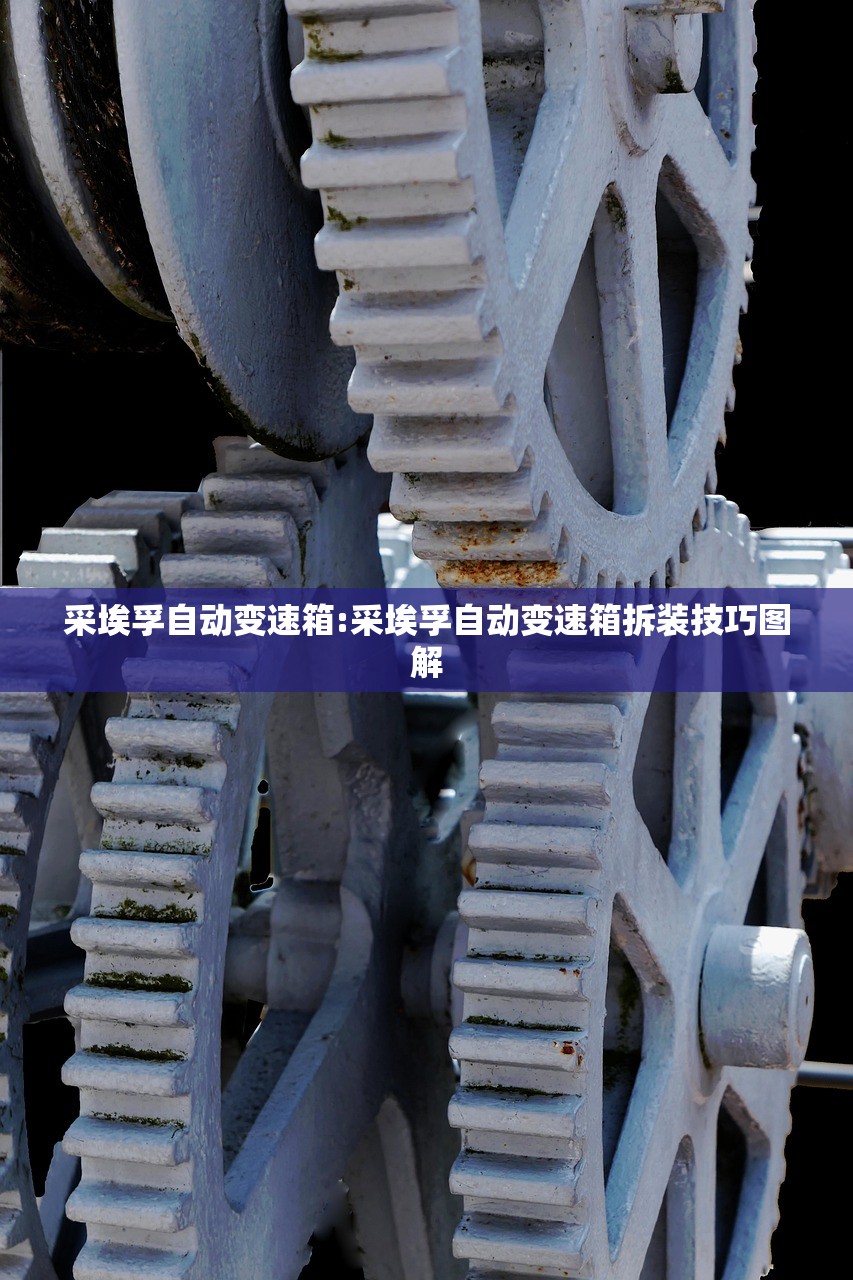 采埃孚自动变速箱:采埃孚自动变速箱拆装技巧图解