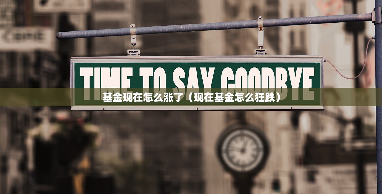 基金现在怎么涨了（现在基金怎么狂跌）