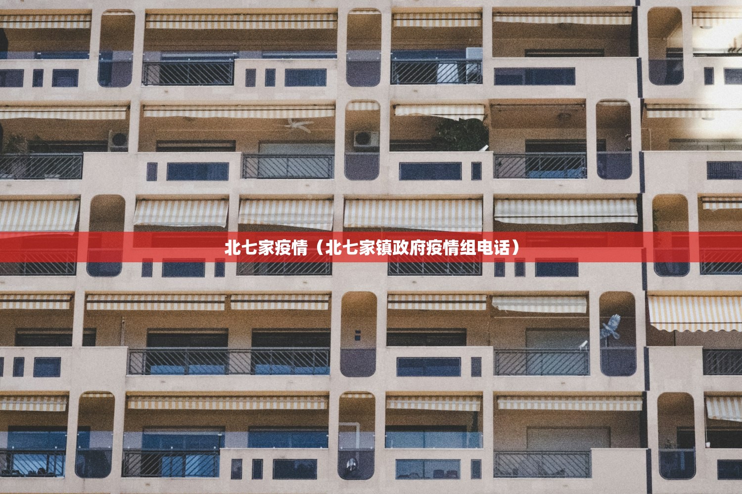 北七家疫情（北七家镇政府疫情组电话）