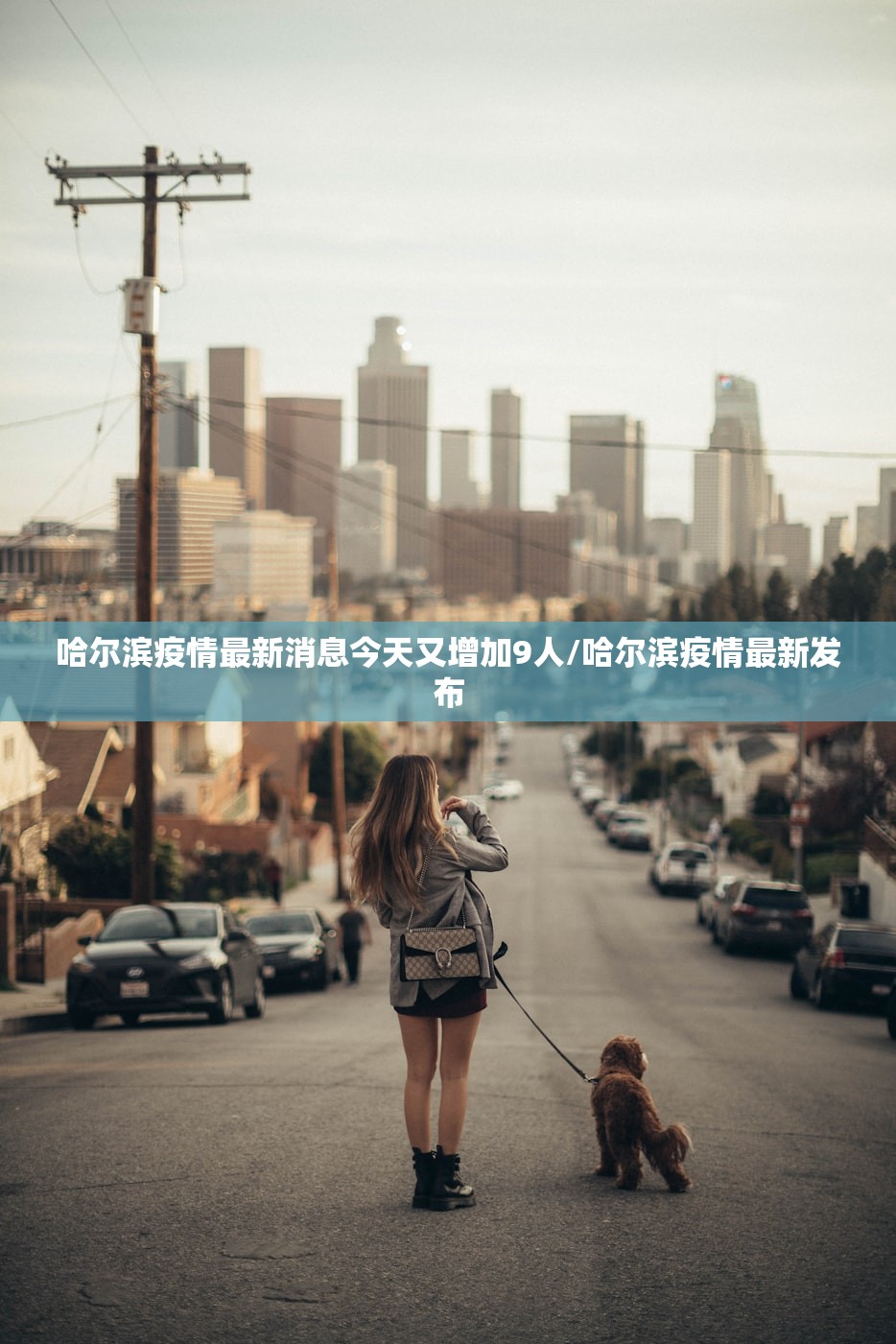 哈尔滨疫情最新消息今天又增加9人/哈尔滨疫情最新发布
