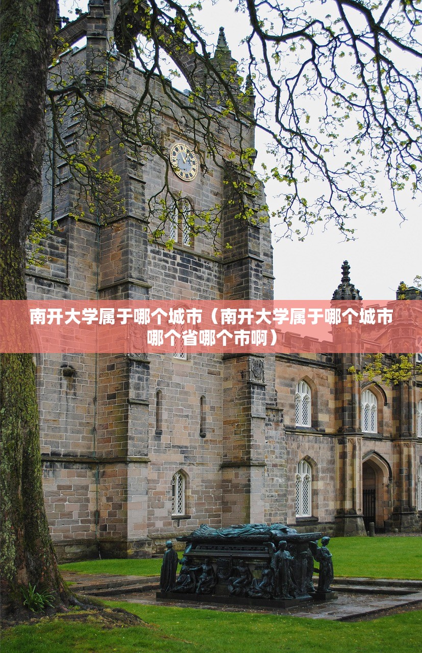 南开大学属于哪个城市（南开大学属于哪个城市哪个省哪个市啊）