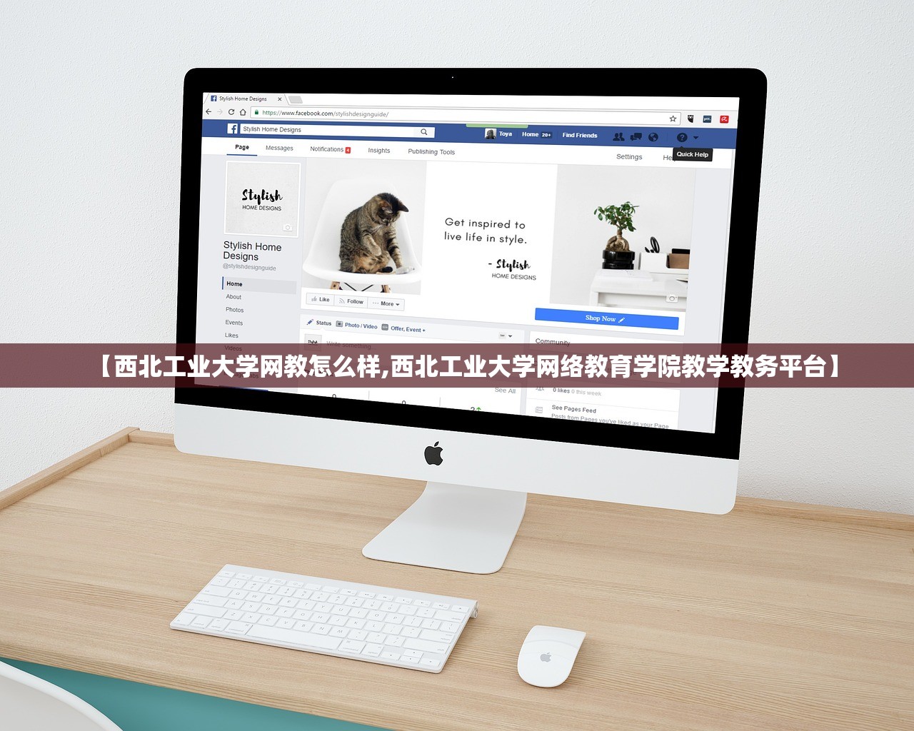 【西北工业大学网教怎么样,西北工业大学网络教育学院教学教务平台】