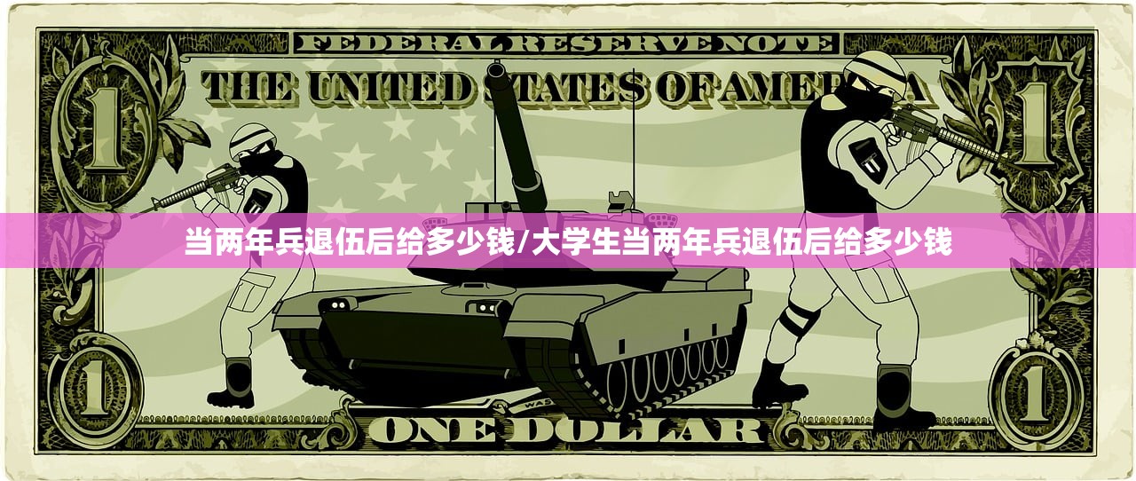 当两年兵退伍后给多少钱/大学生当两年兵退伍后给多少钱