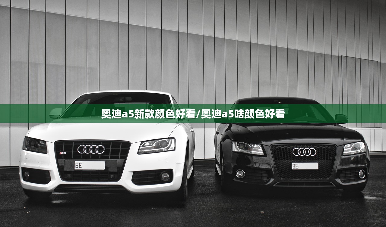 【喷漆使用方法,喷漆操作详细教程视频】