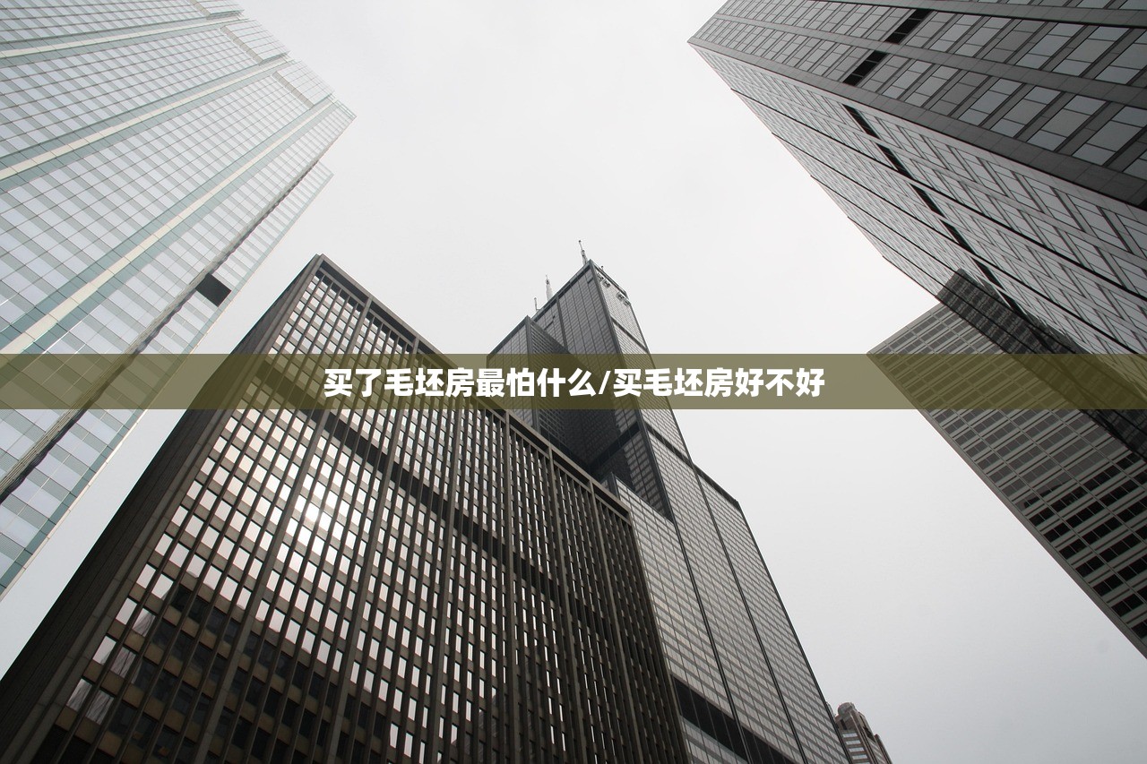 买了毛坯房最怕什么/买毛坯房好不好