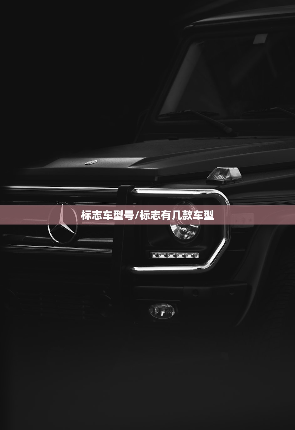 标志车型号/标志有几款车型