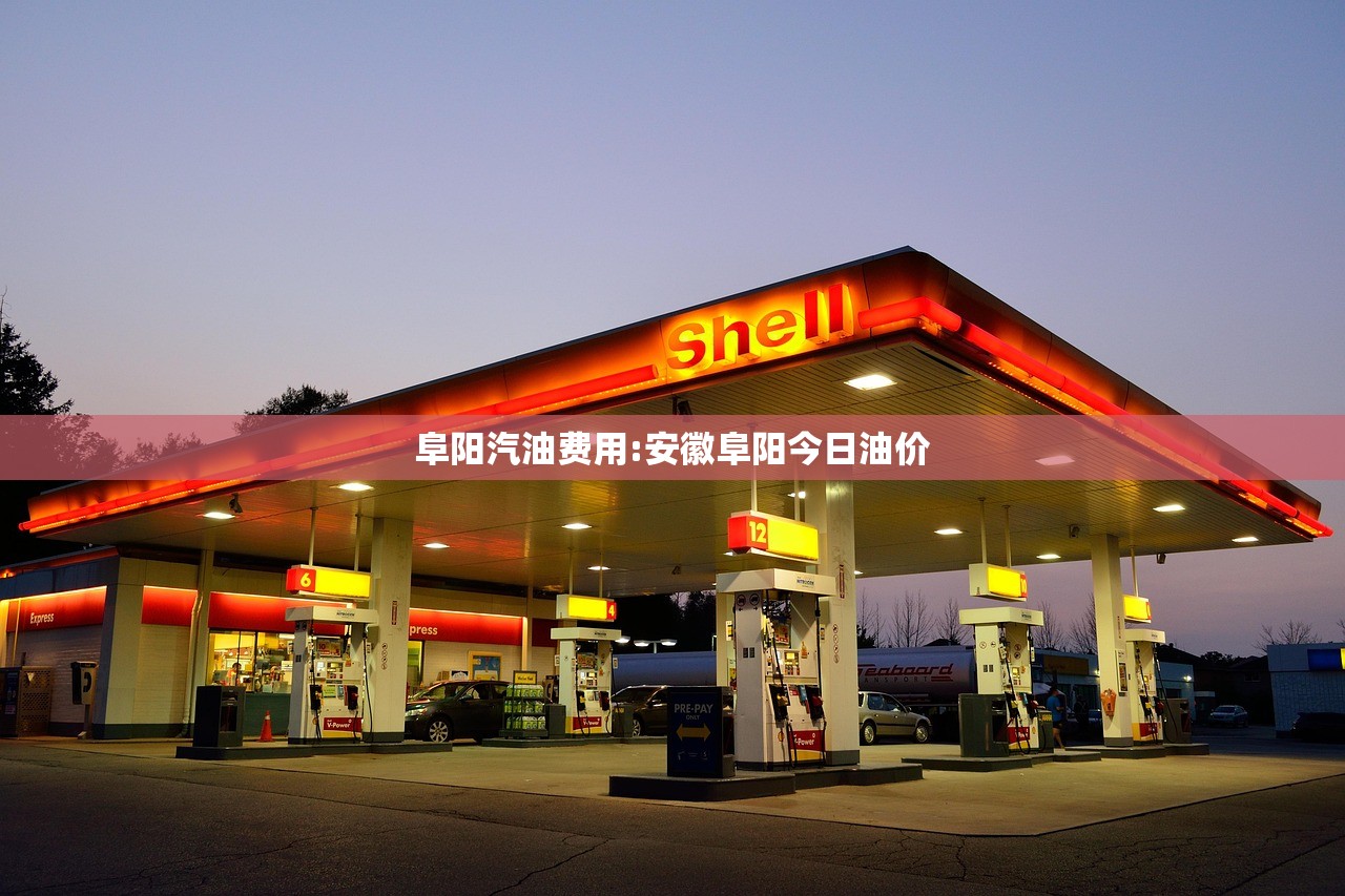 阜阳汽油费用:安徽阜阳今日油价