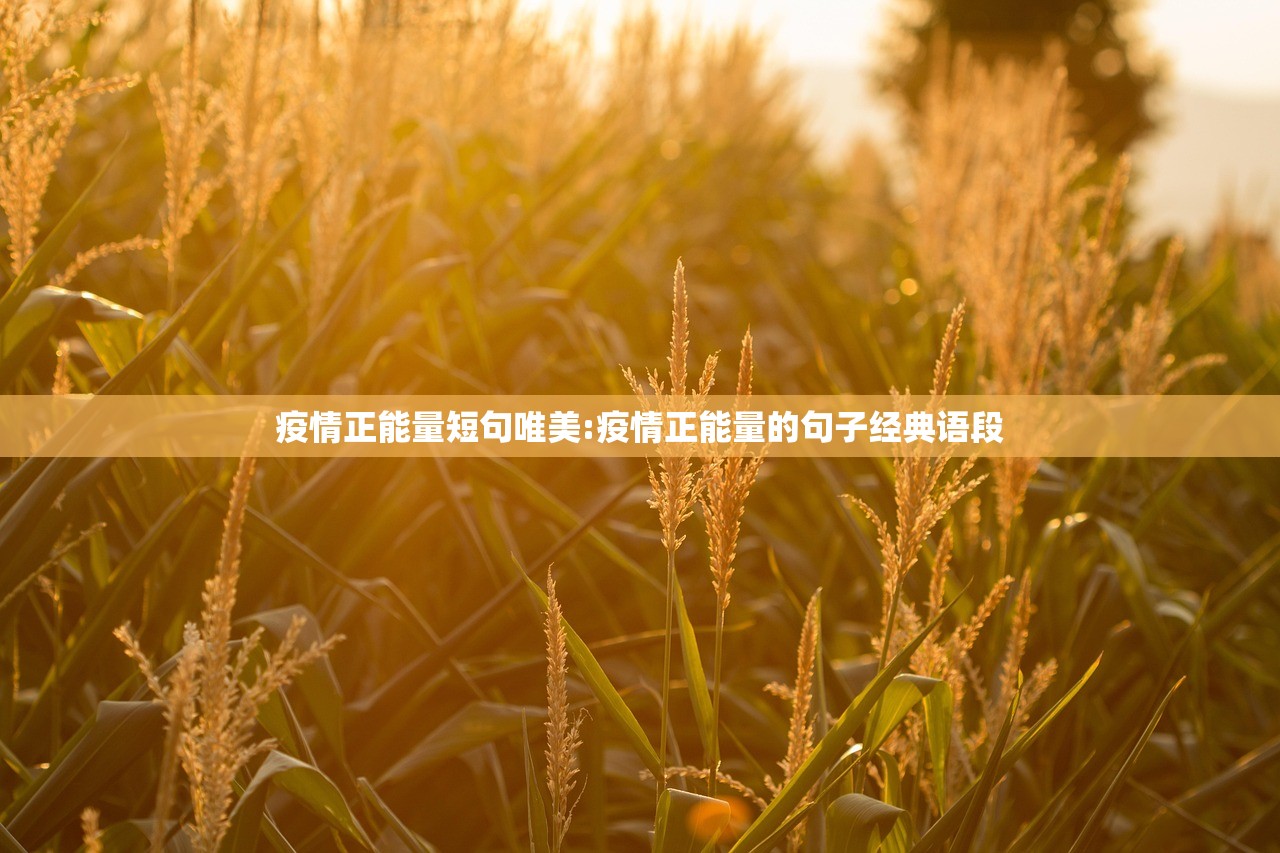 疫情正能量短句唯美:疫情正能量的句子经典语段