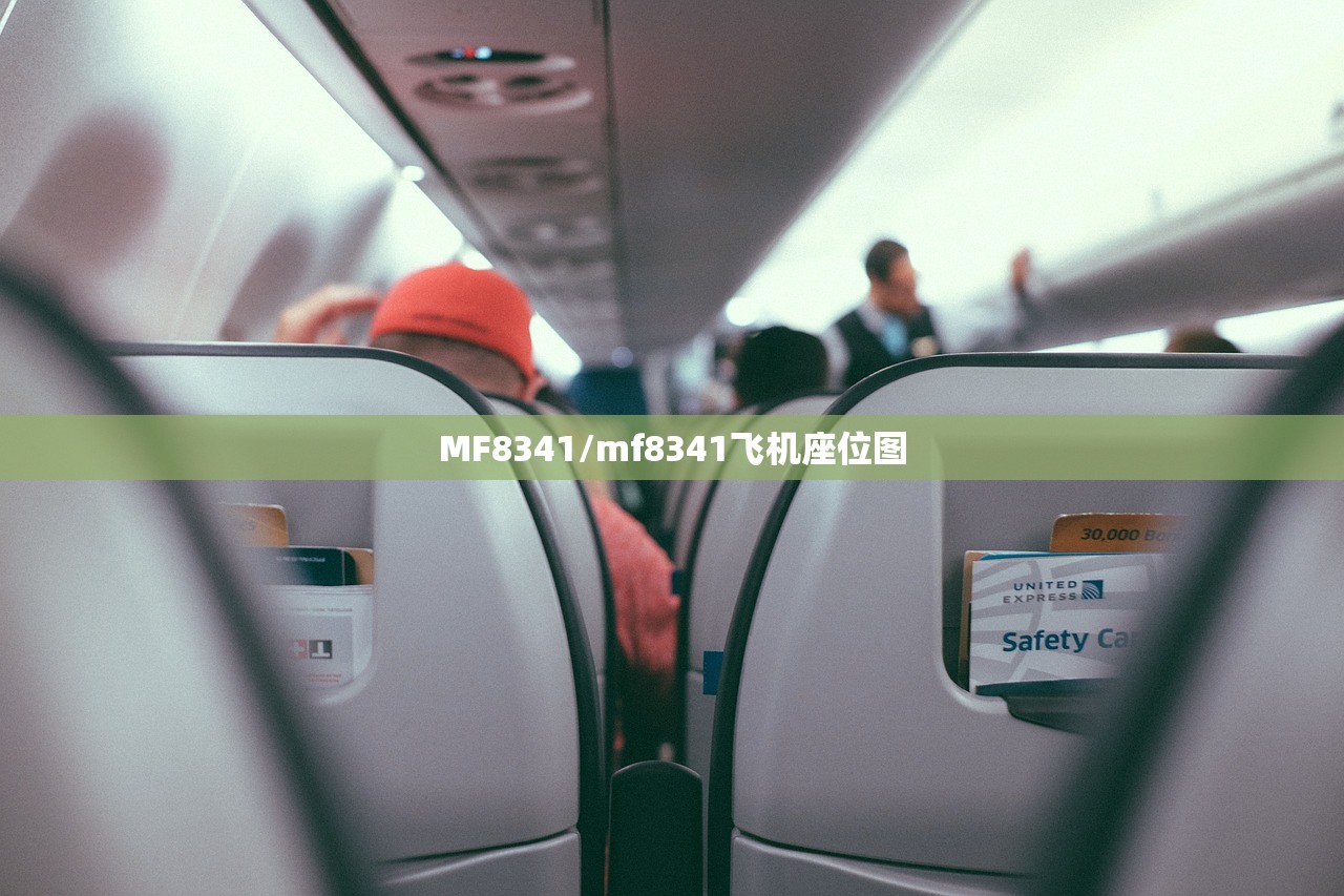 MF8341/mf8341飞机座位图