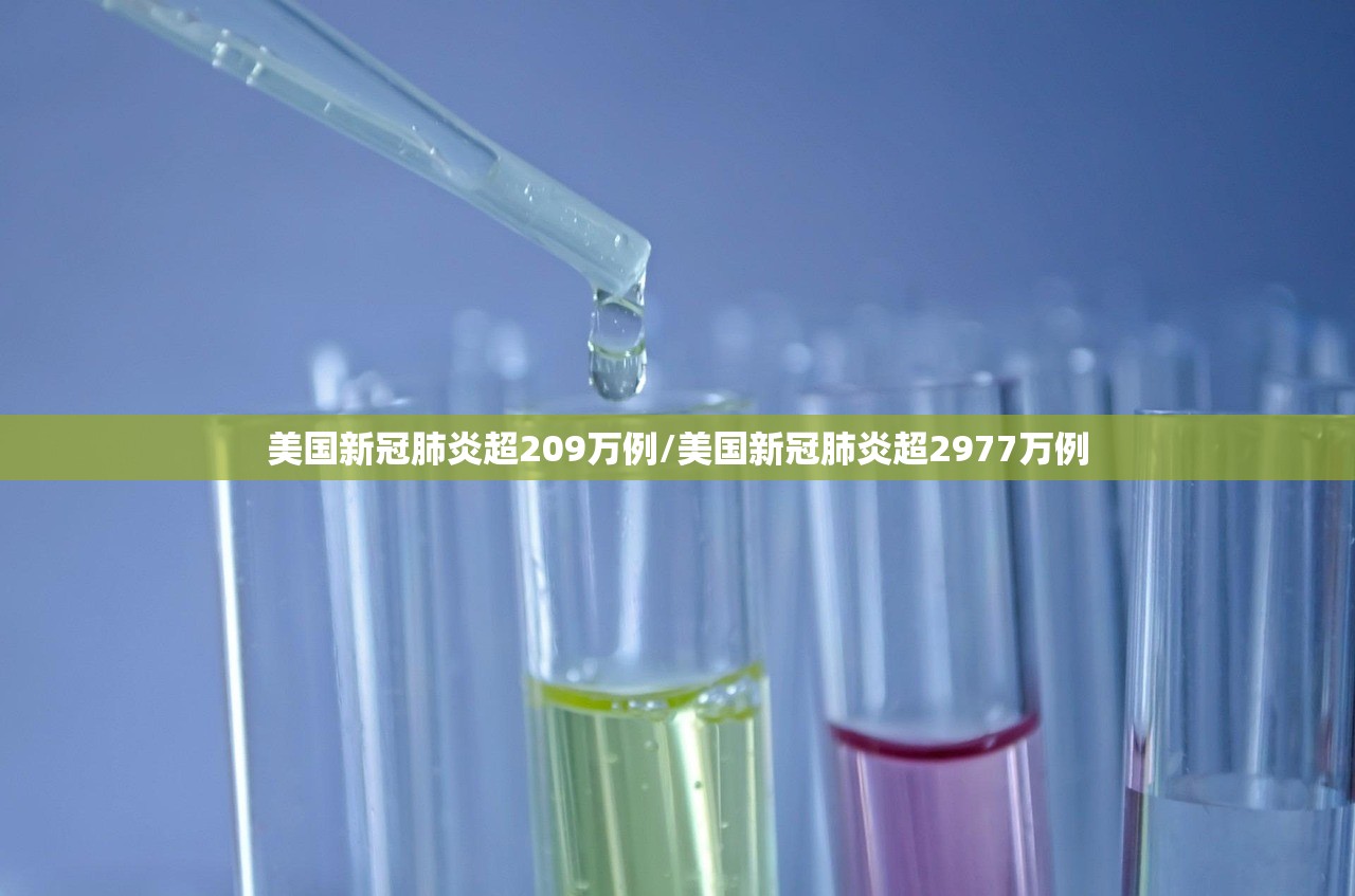 美国新冠肺炎超209万例/美国新冠肺炎超2977万例