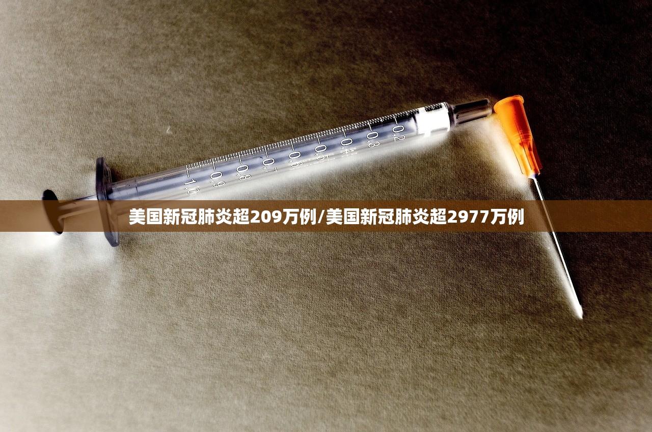 美国新冠肺炎超209万例/美国新冠肺炎超2977万例