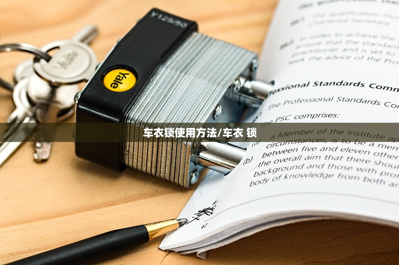 车衣锁使用方法/车衣 锁 车衣锁使用方法/车衣 锁