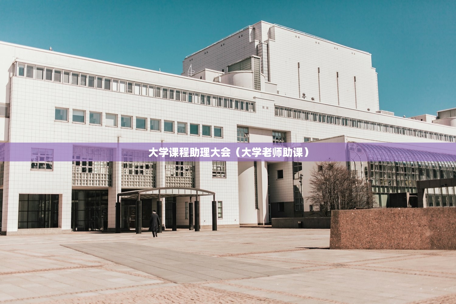 大学课程助理大会(大学老师助课) 大学课程助理大会(大学老师助课)
