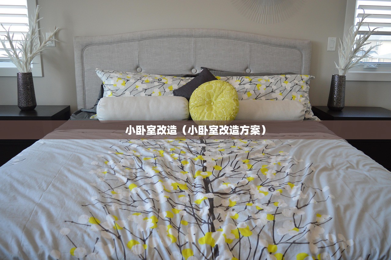 小卧室改造（小卧室改造方案）