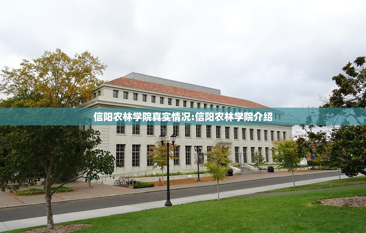 现在房票政策最新/房票政策是什么