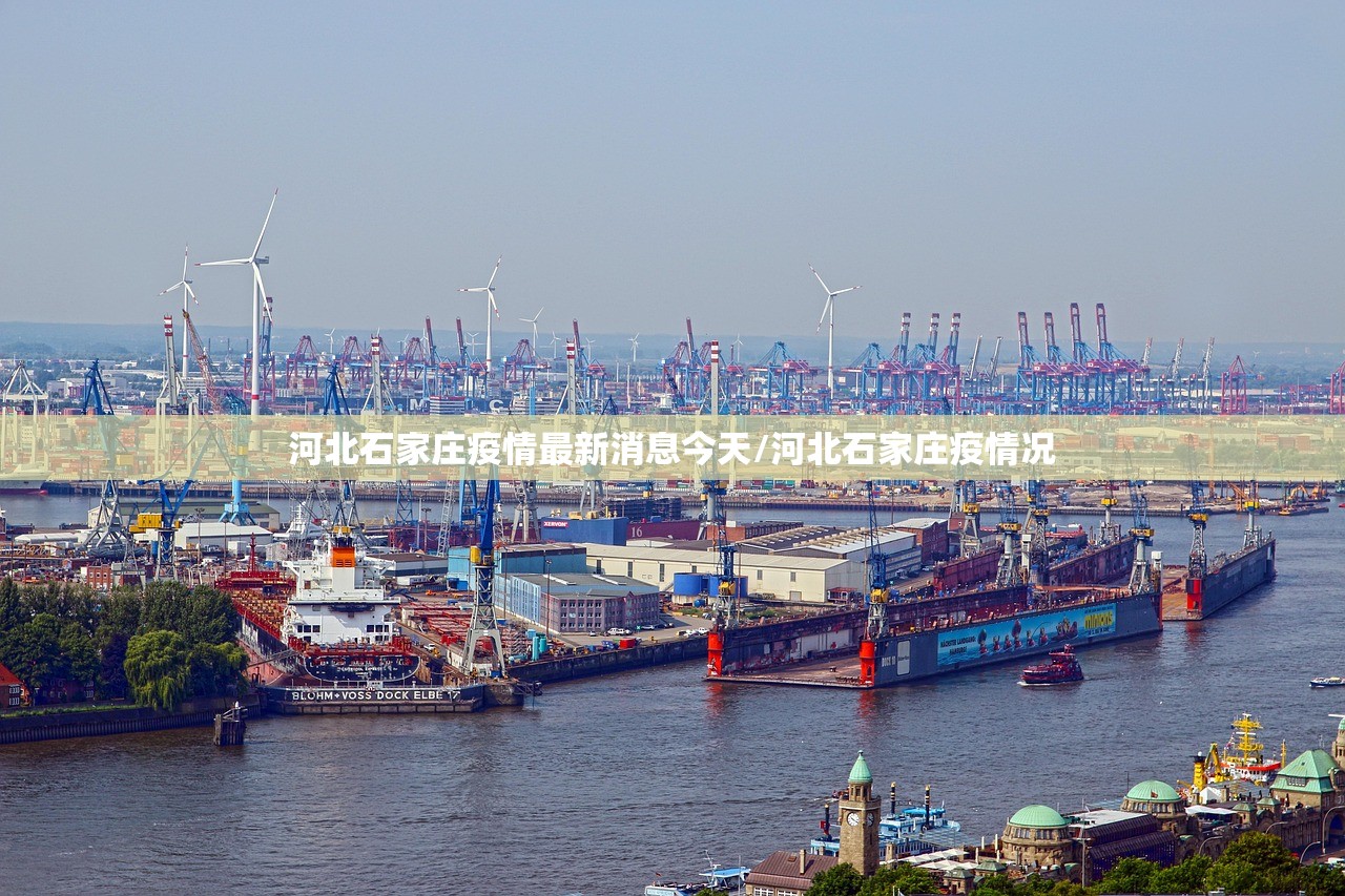 河北石家庄疫情最新消息今天/河北石家庄疫情况 河北石家庄疫情最新消息今天/河北石家庄疫情况