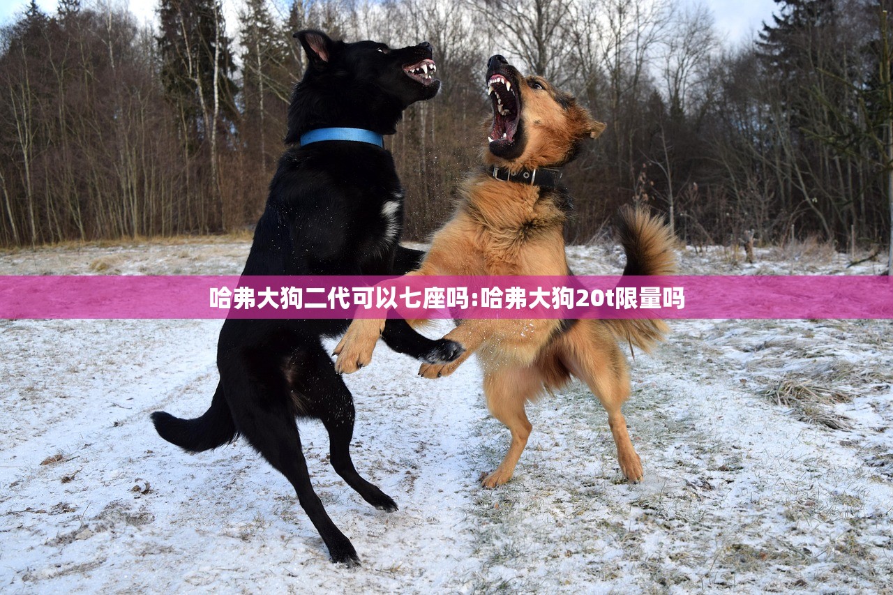 哈弗大狗二代可以七座吗:哈弗大狗20t限量吗