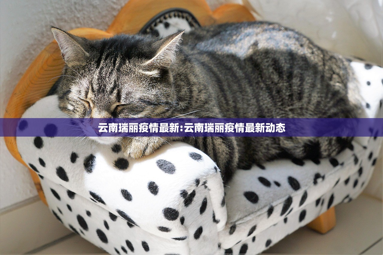 云南瑞丽疫情最新:云南瑞丽疫情最新动态