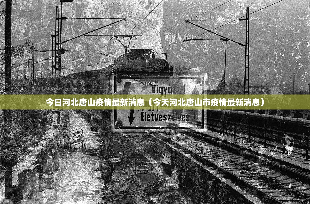 杭州疫情发布会/杭州发布疫情公告官方网站