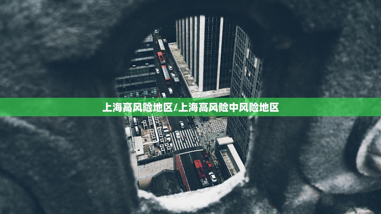 上海高风险地区/上海高风险中风险地区