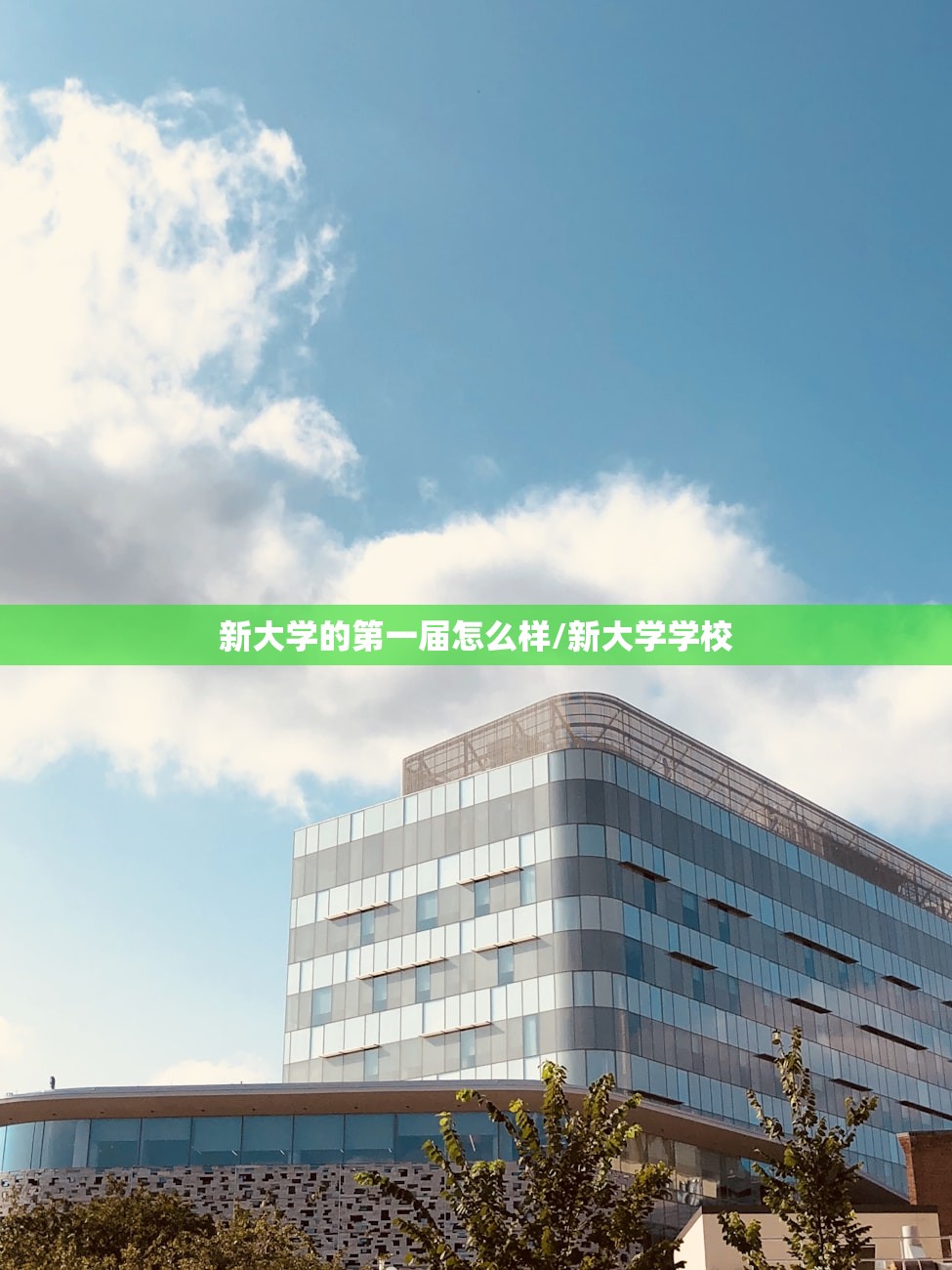 新大学的第一届怎么样/新大学学校