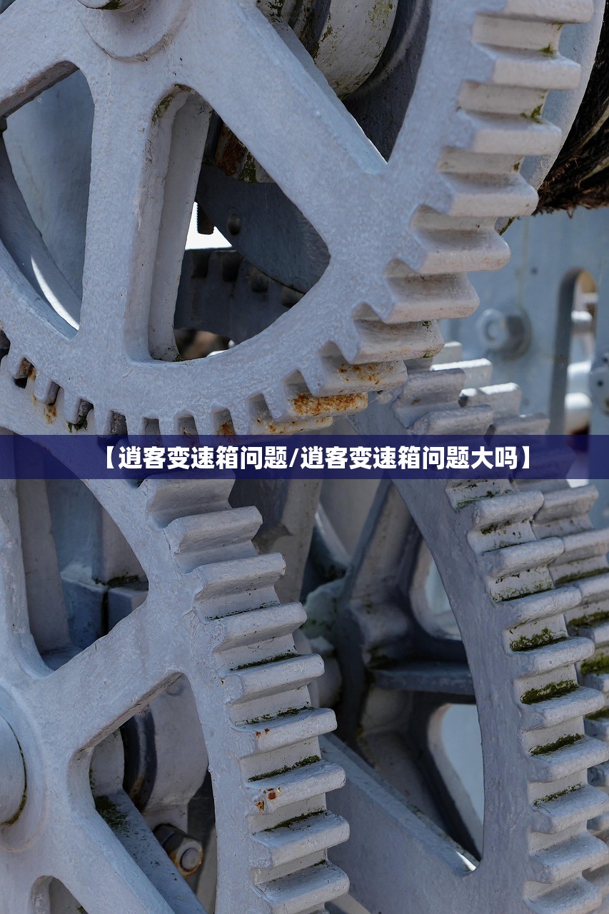 【逍客变速箱问题/逍客变速箱问题大吗】