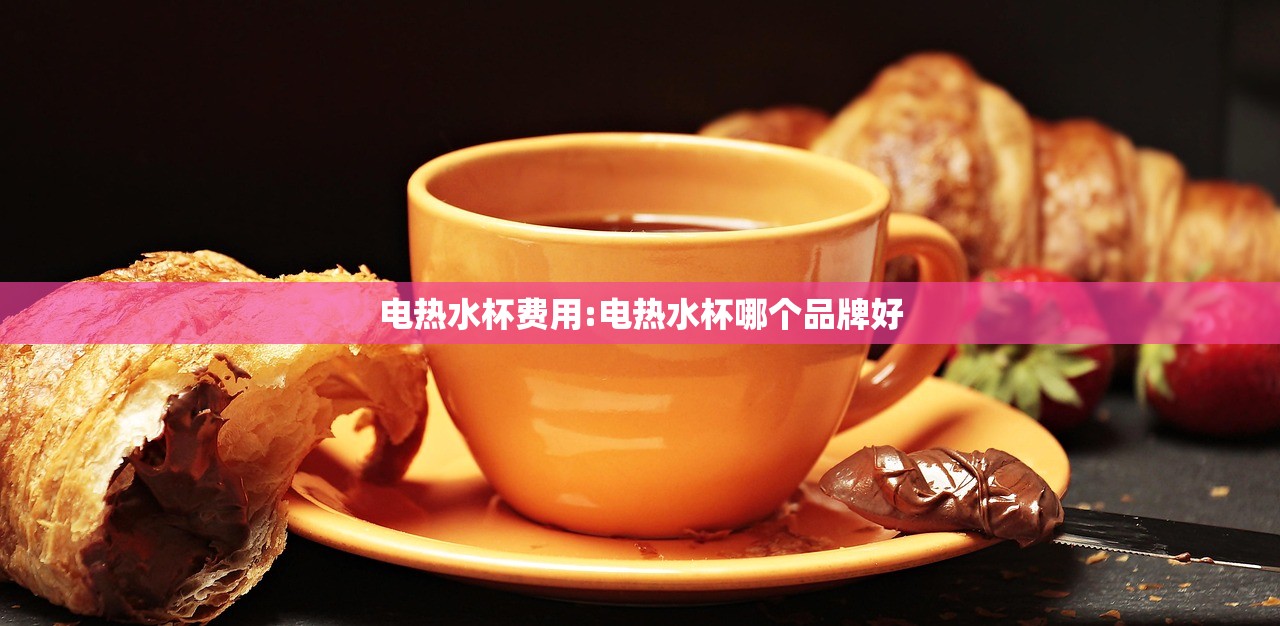 电热水杯费用:电热水杯哪个品牌好