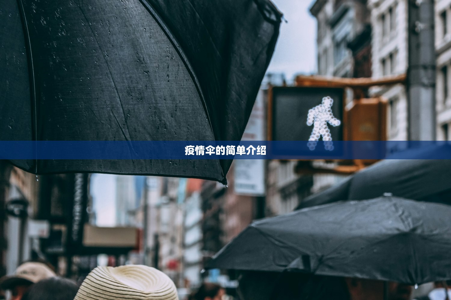 疫情伞的简单介绍