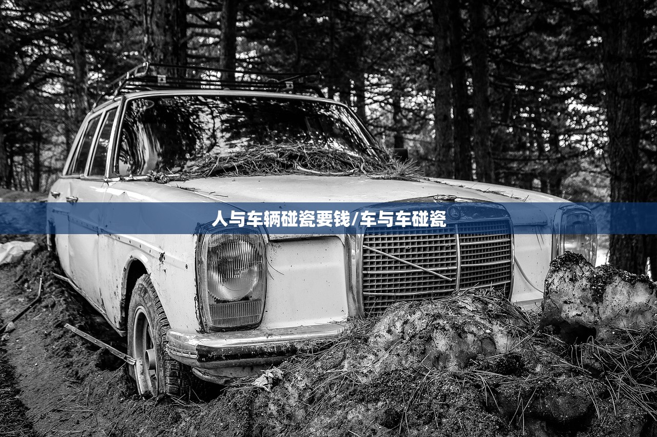 人与车辆碰瓷要钱/车与车碰瓷