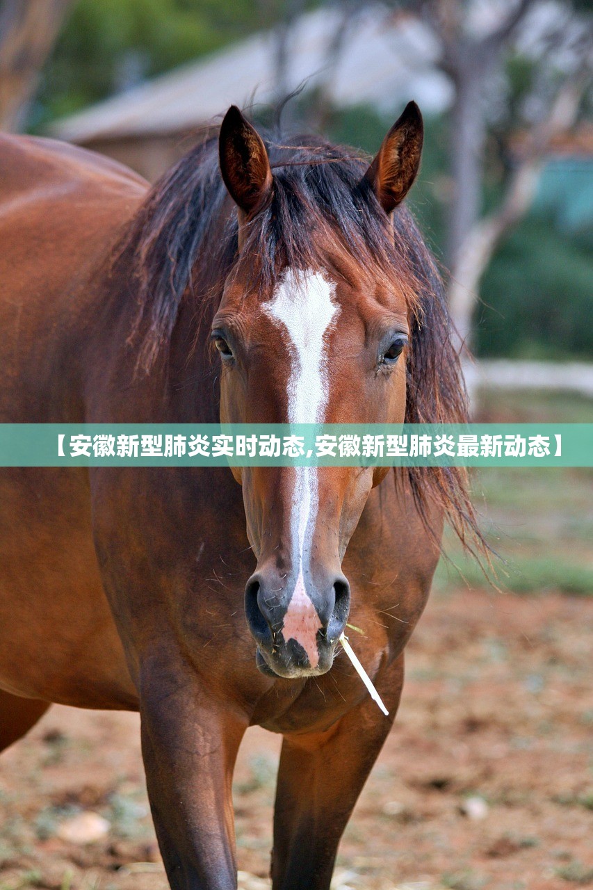 【安徽新型肺炎实时动态,安徽新型肺炎最新动态】
