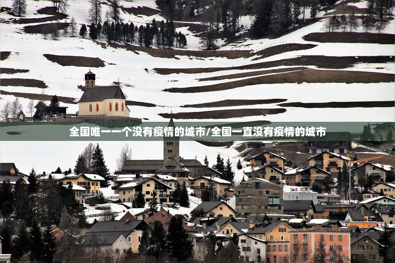 全国唯一一个没有疫情的城市/全国一直没有疫情的城市