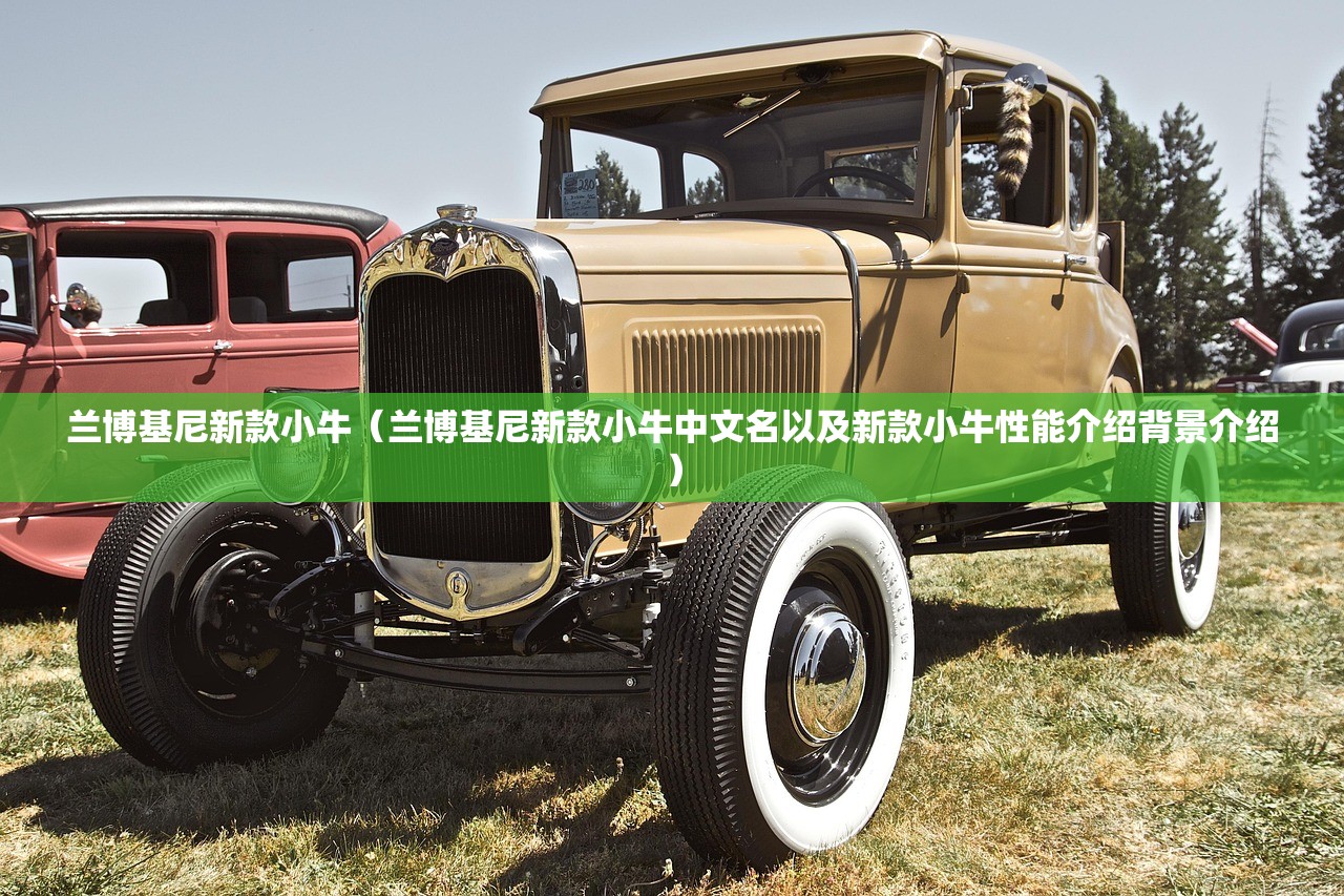 兰博基尼新款小牛（兰博基尼新款小牛中文名以及新款小牛性能介绍背景介绍）