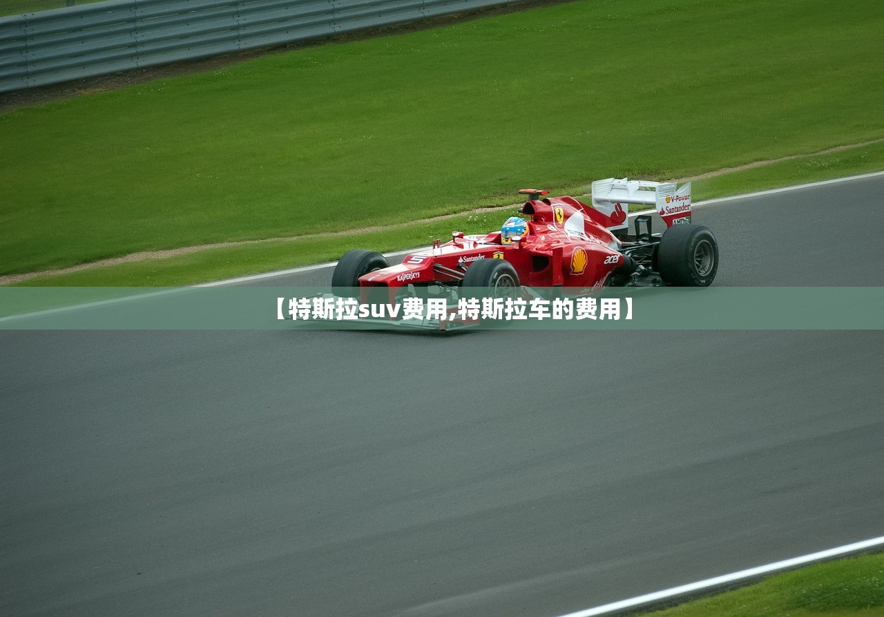 【特斯拉suv费用,特斯拉车的费用】