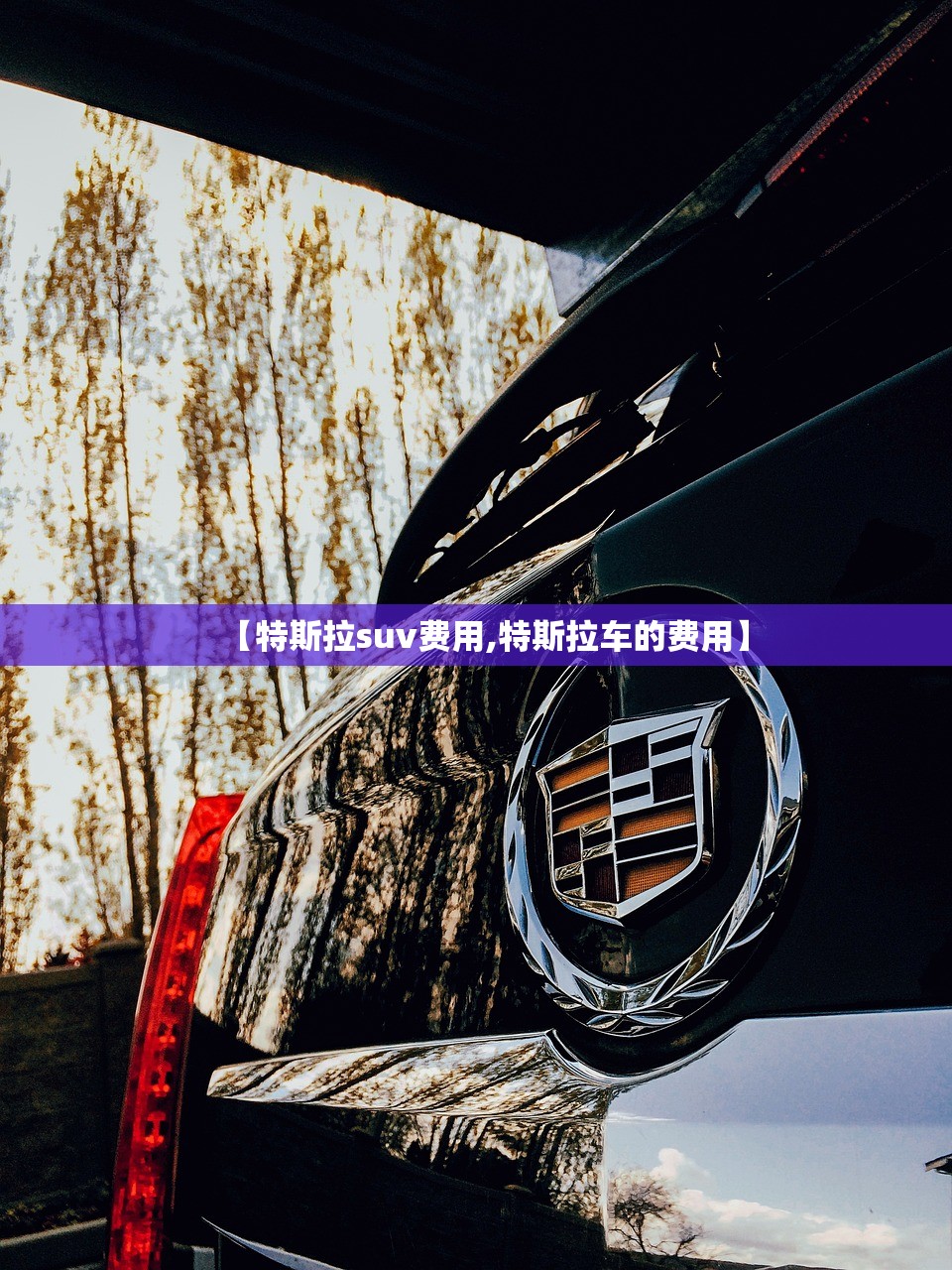 【特斯拉suv费用,特斯拉车的费用】