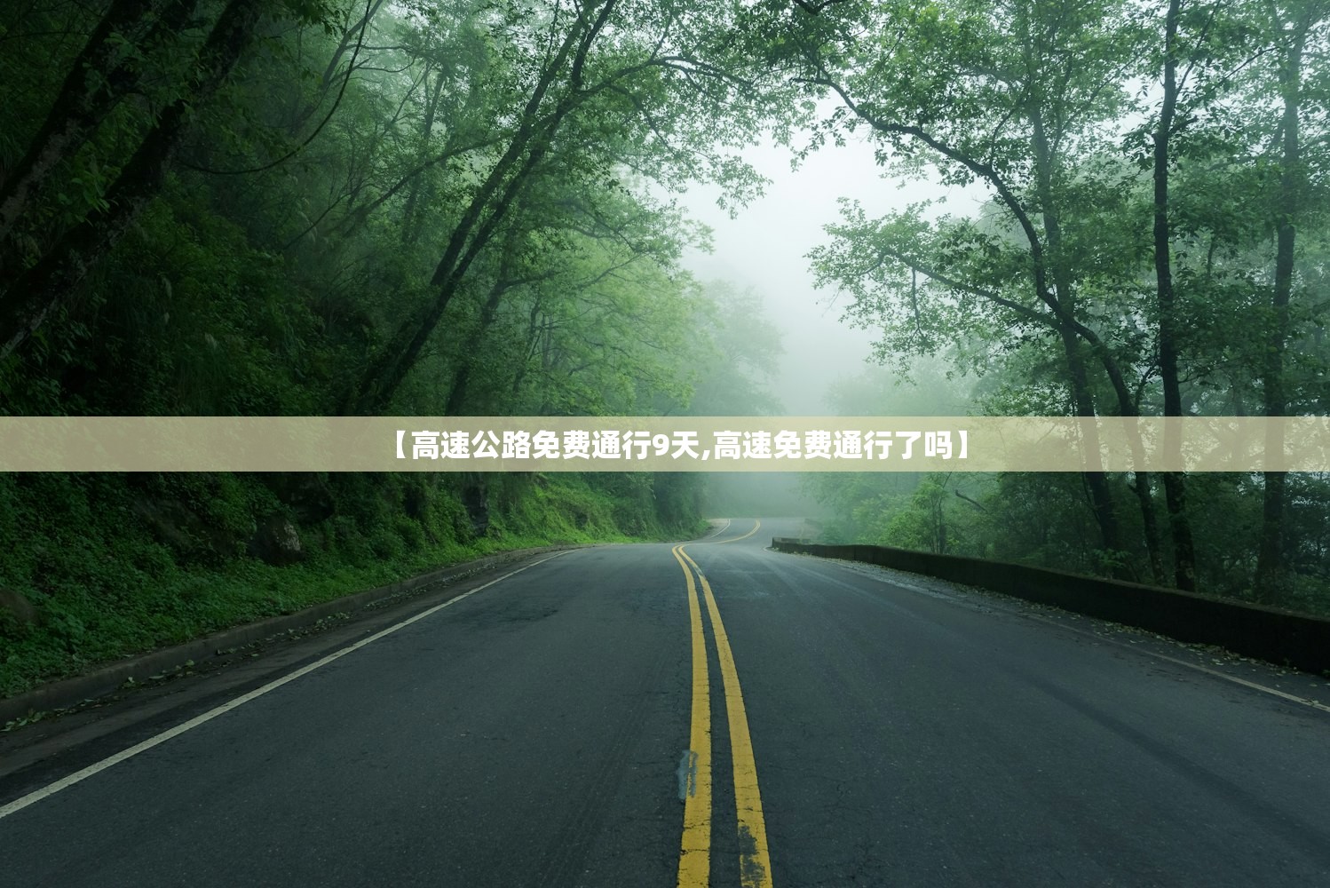 杭州景区限行绿牌（杭州景区限行会被拍吗）
