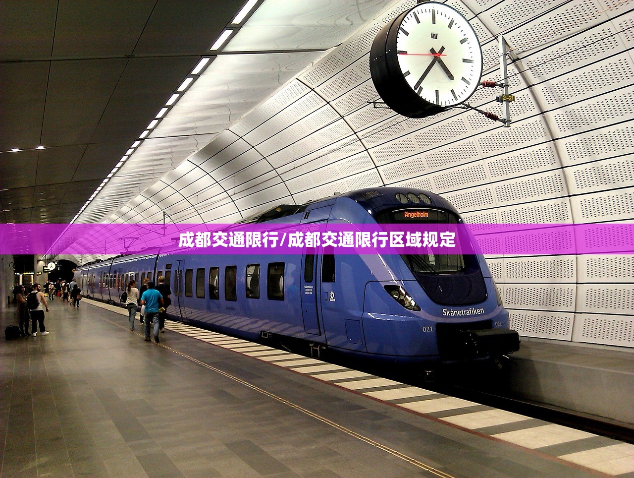 疫情吓/疫情吓破胆的人