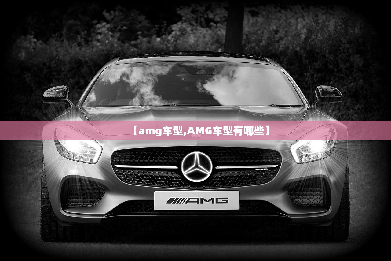【amg车型,AMG车型有哪些】