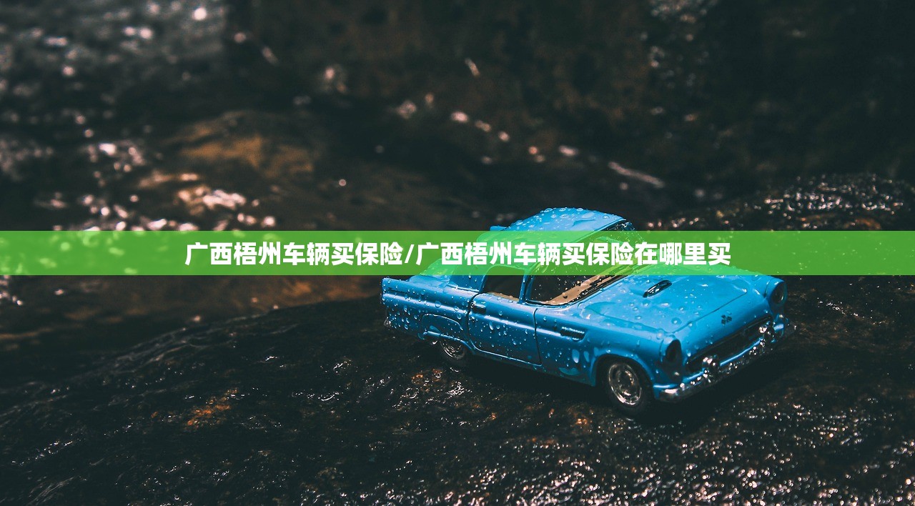 广西梧州车辆买保险/广西梧州车辆买保险在哪里买