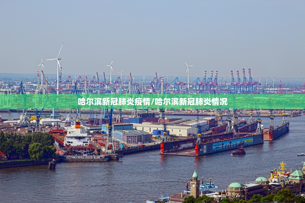 哈尔滨新冠肺炎疫情/哈尔滨新冠肺炎情况
