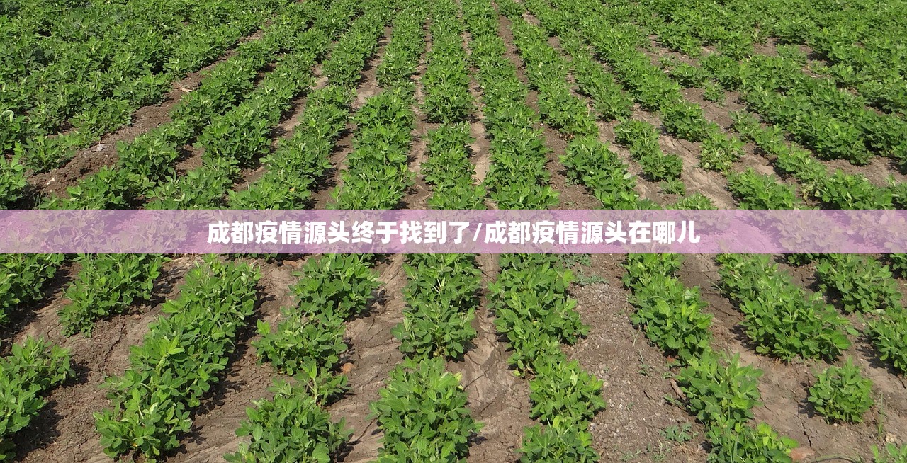 成都疫情源头终于找到了/成都疫情源头在哪儿 成都疫情源头终于找到了/成都疫情源头在哪儿