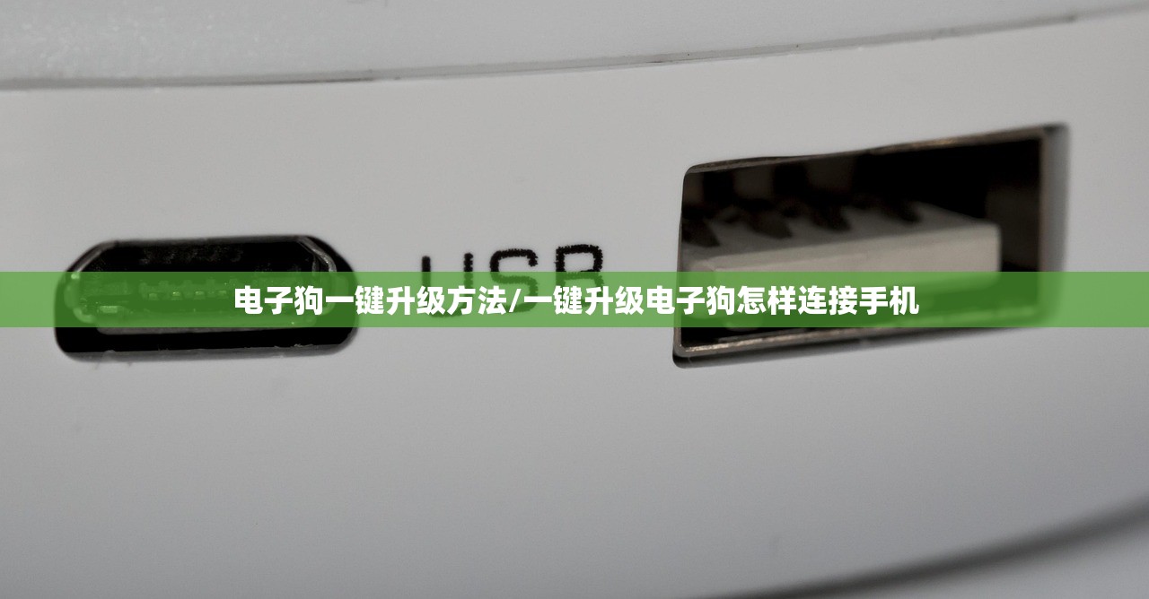 电子狗一键升级方法/一键升级电子狗怎样连接手机