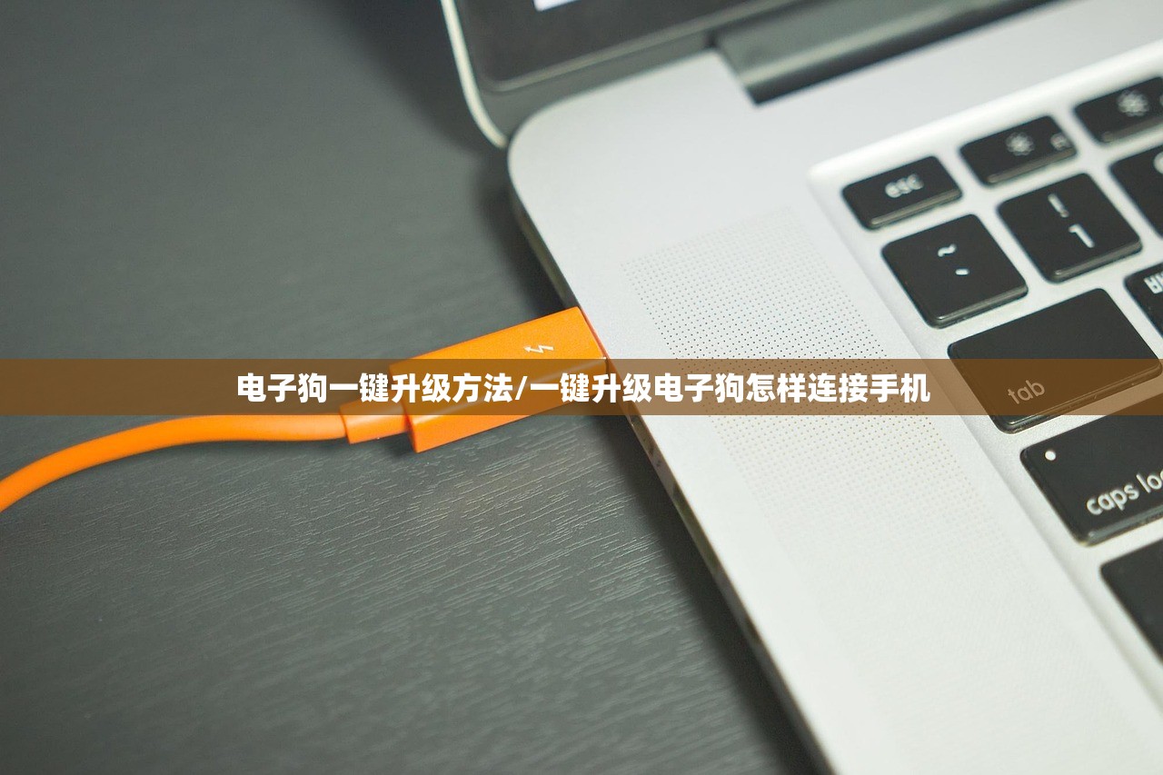 电子狗一键升级方法/一键升级电子狗怎样连接手机